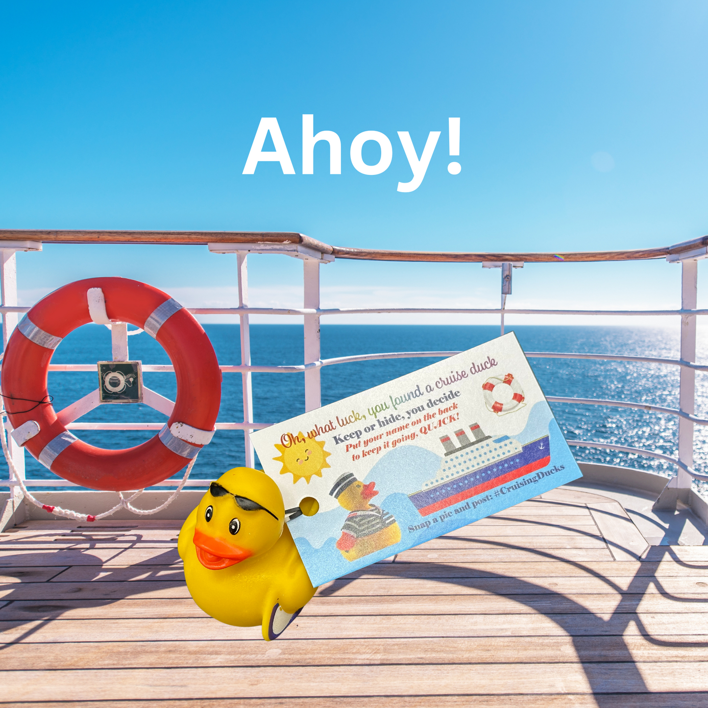 Cruising Ducks (Set of 10 Ducks & Tags)