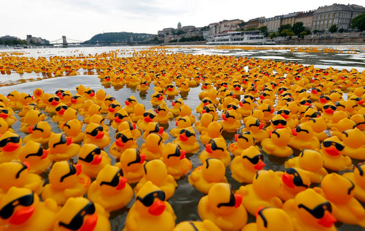 The History of Rubber Ducks: From Bathtubs to Collectibles