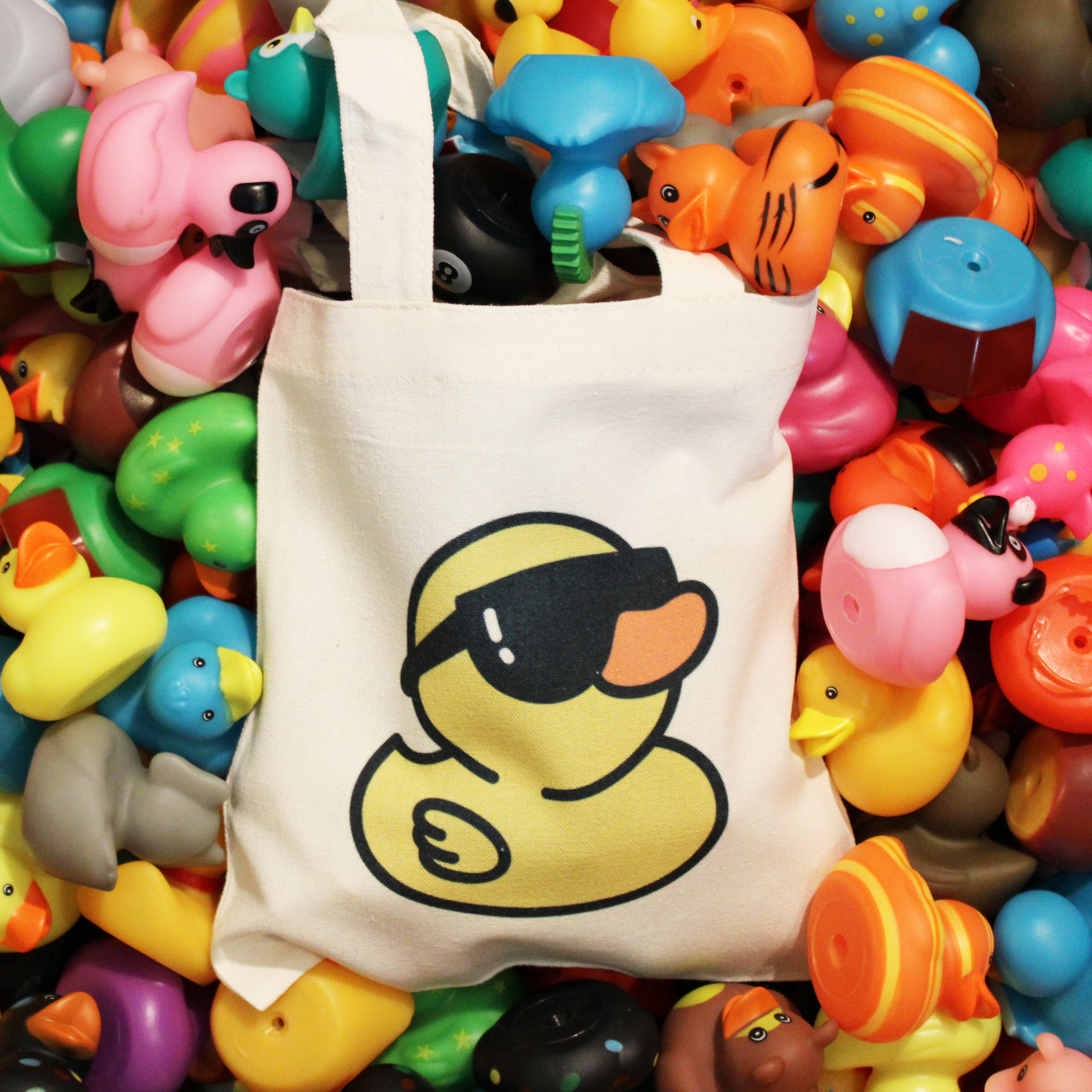 The Rubber Duckery: Premier Source for Unique & Bulk Rubber Ducks