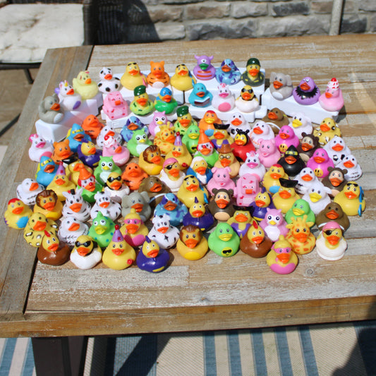 100 Assorted Ducks (2" Size)