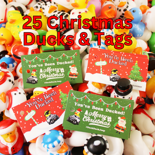 25 Christmas Ducks Complete Set