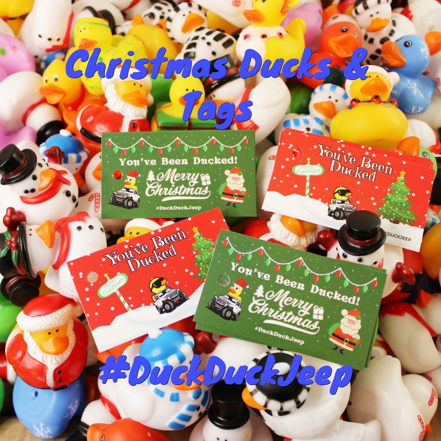 25 Christmas Ducks Complete Set