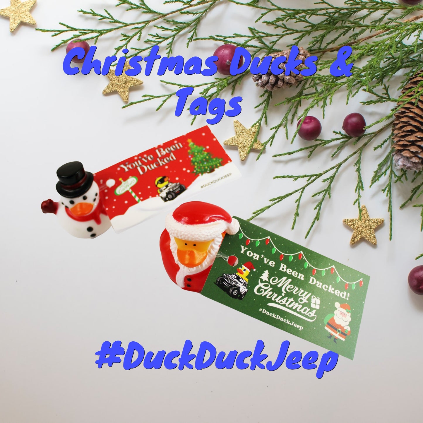 25 Christmas Ducks Complete Set