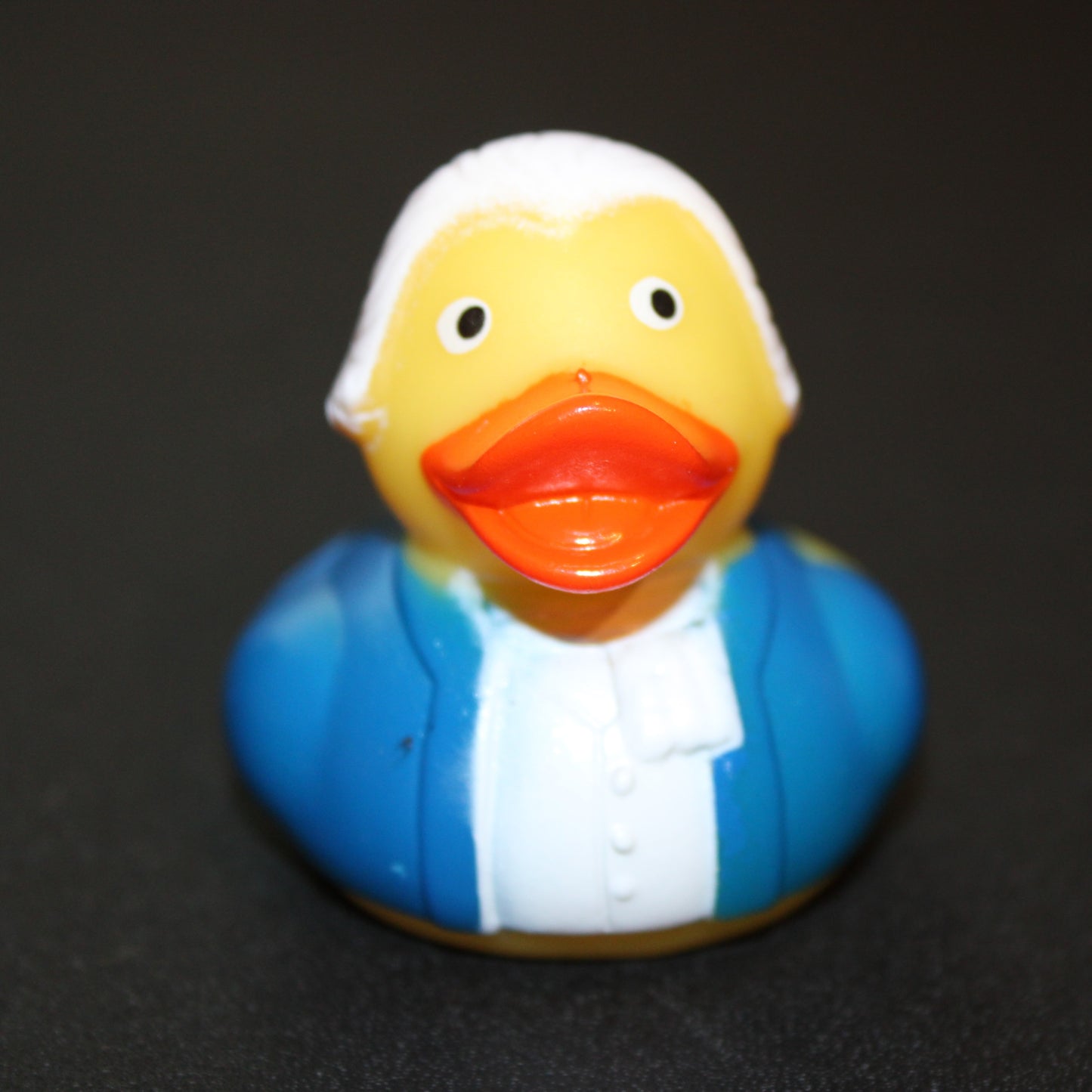 George Washington Duck