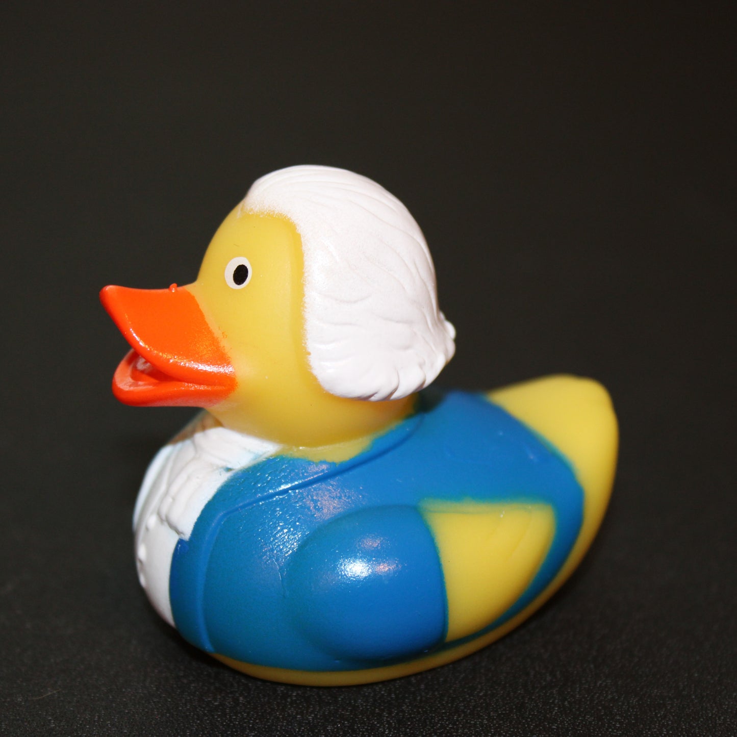 George Washington Duck