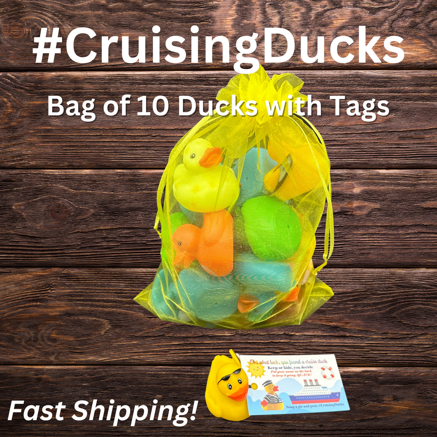 Cruising Ducks (Set of 10 Ducks & Tags)