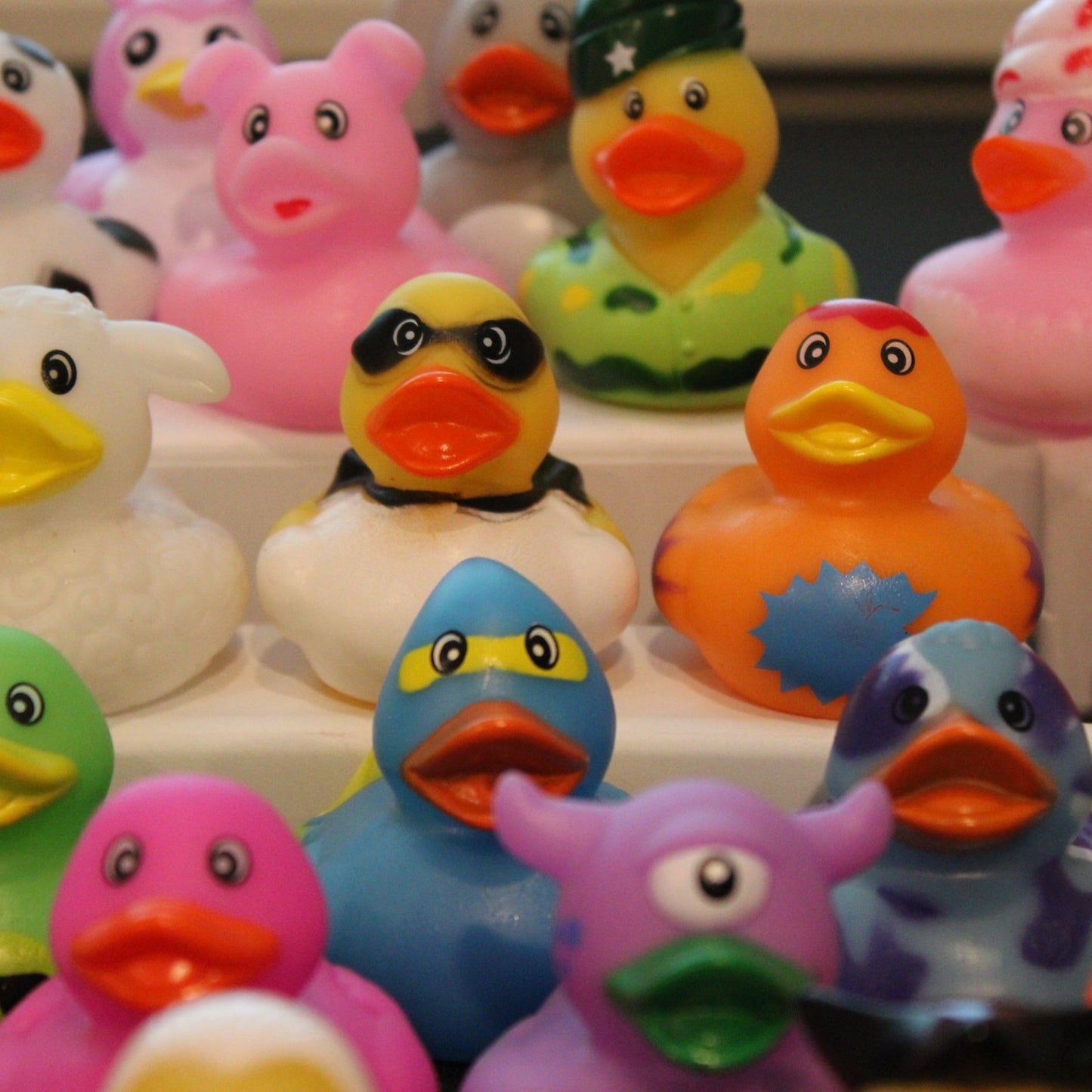 500 Assorted Ducks (2" Size)