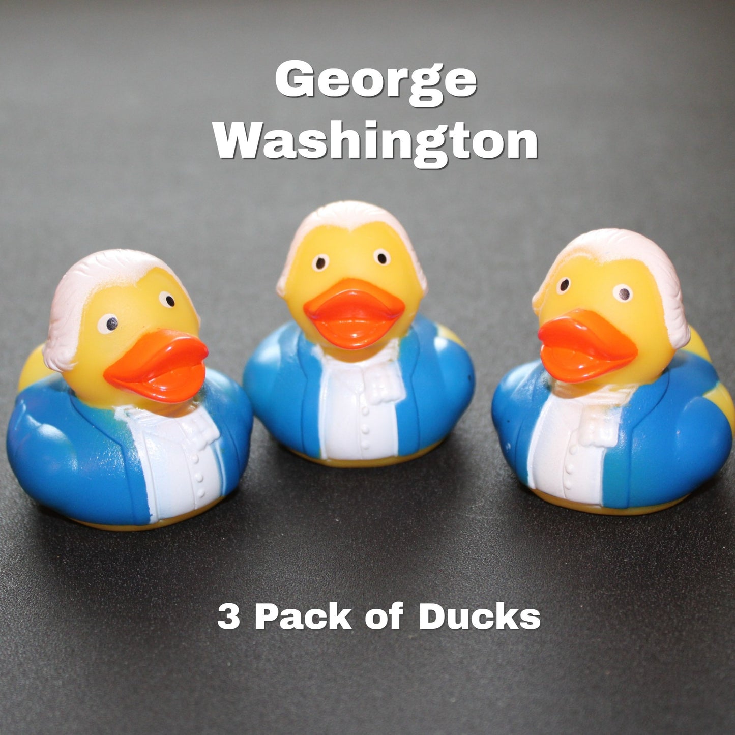 George Washington Duck