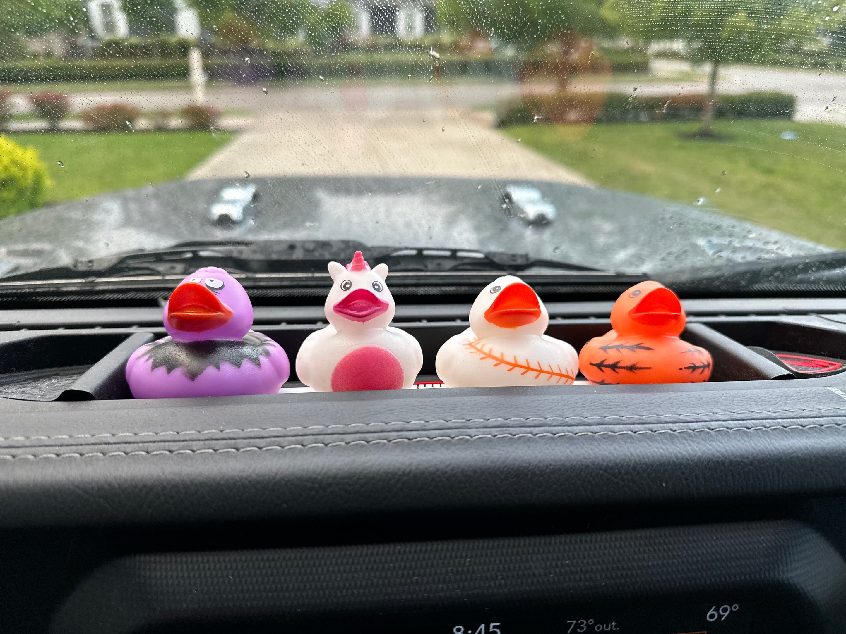 Duck Duck Dash Display - Hold Your Ducks on Your Dashboard with Ease ...