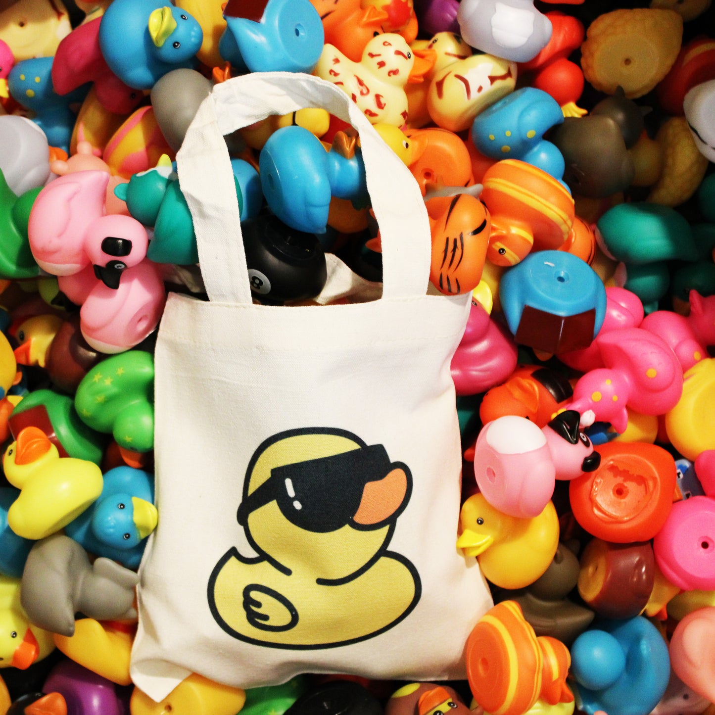 Small Tote Bag & 10 Rubber Ducks