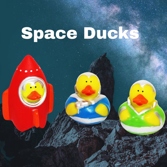 Space Explorer Duck Set