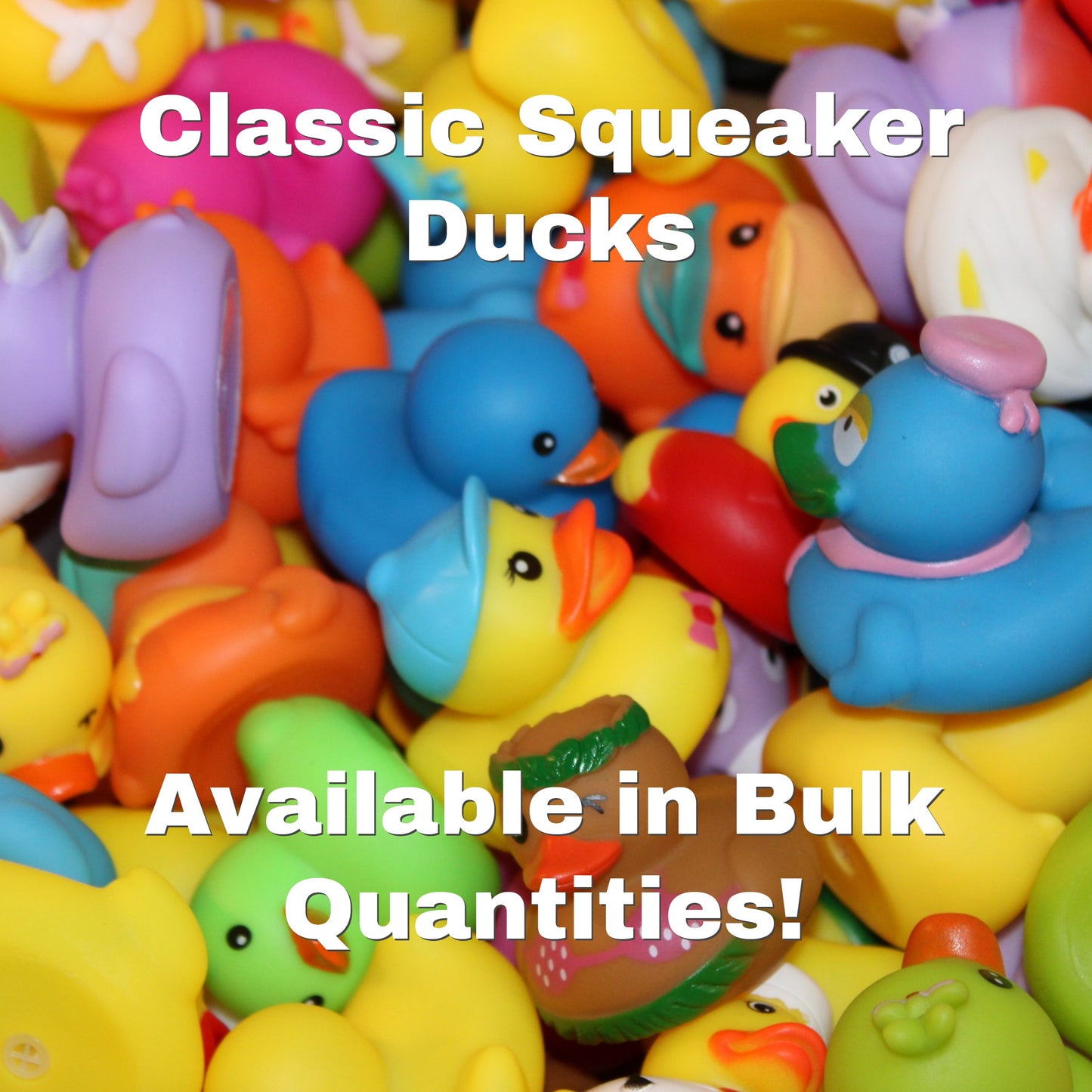 Squeaky Duck Delight Set (25 Pack)