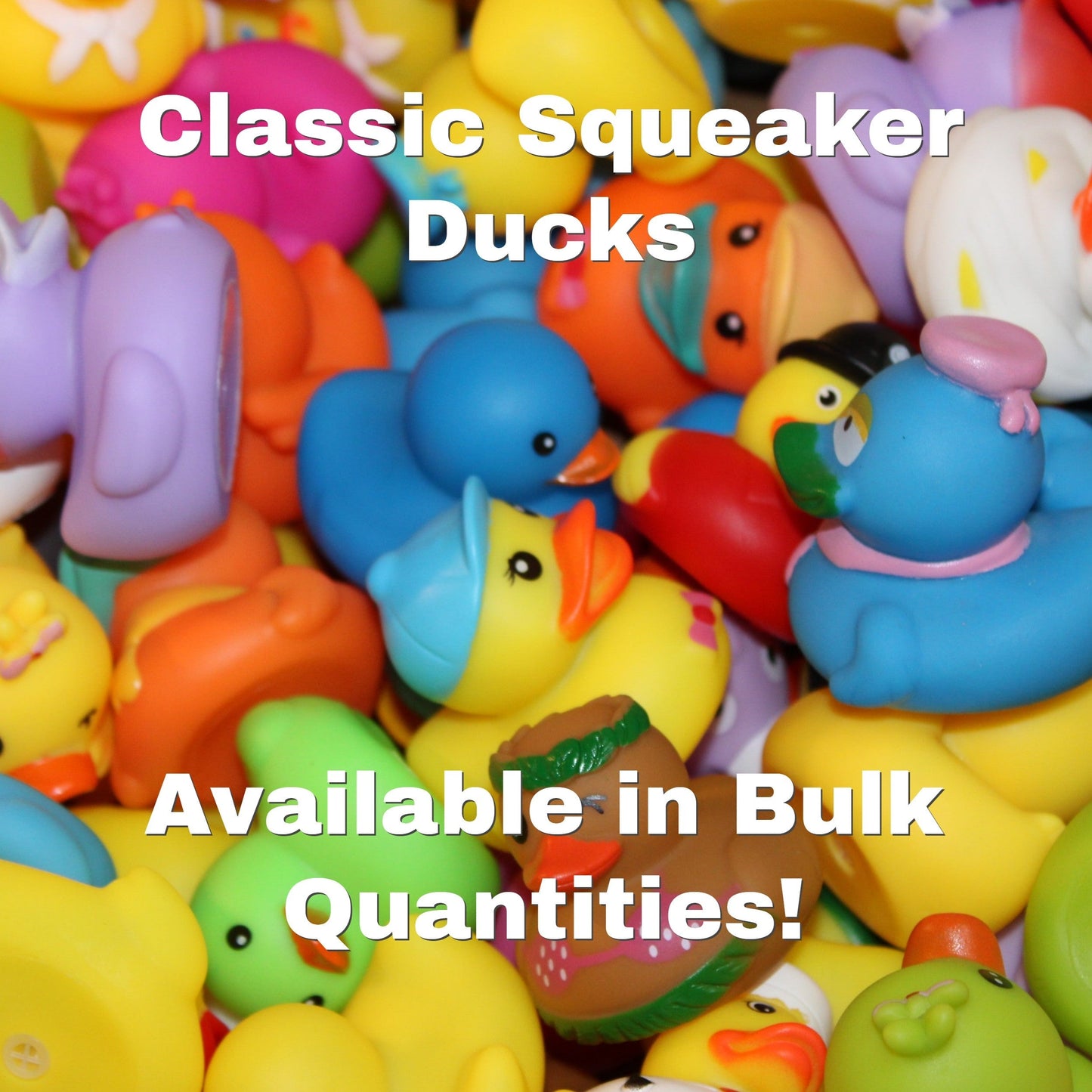 Squeaky Duck Delight Set (50 Pack)