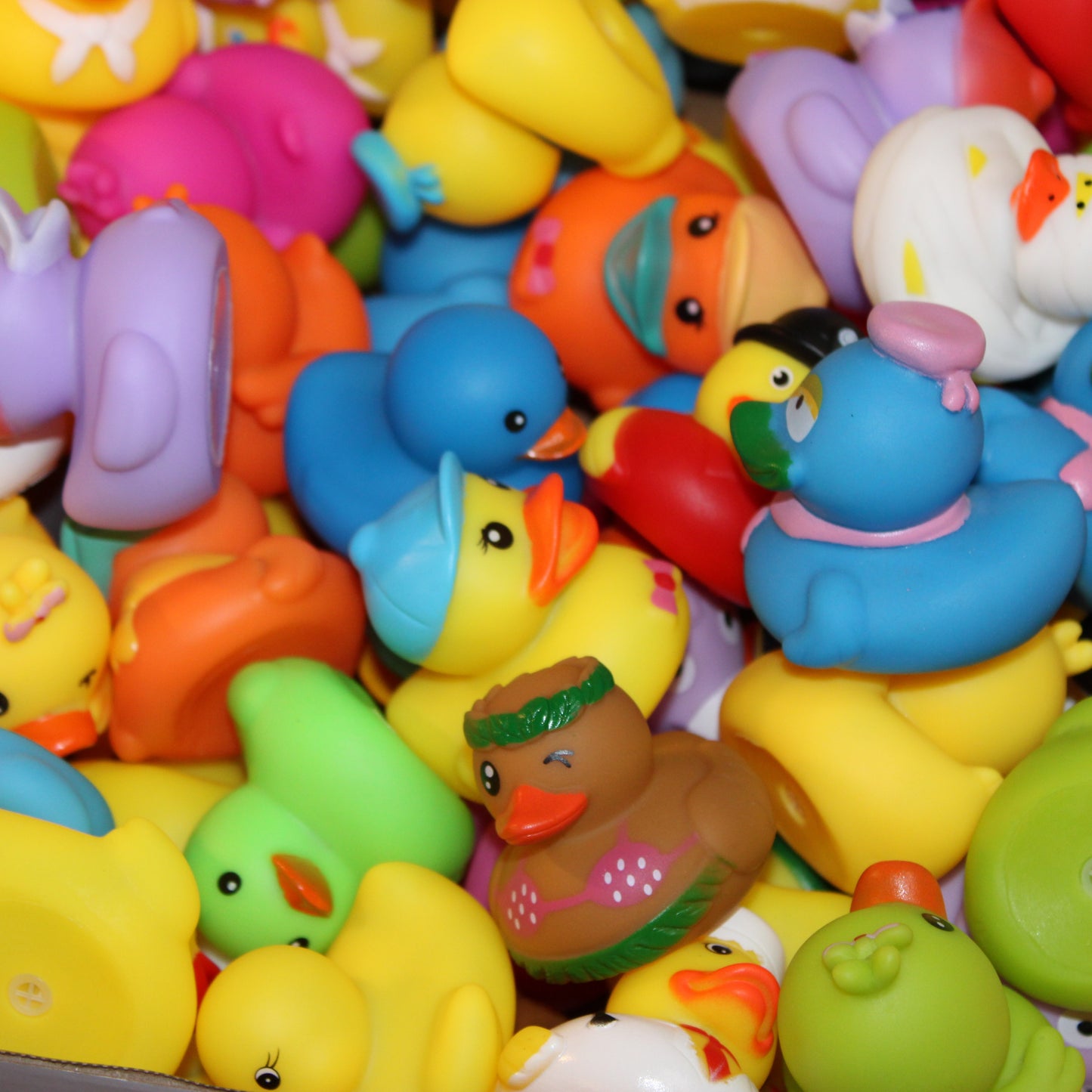 Squeaky Duck Delight Set (50 Pack)