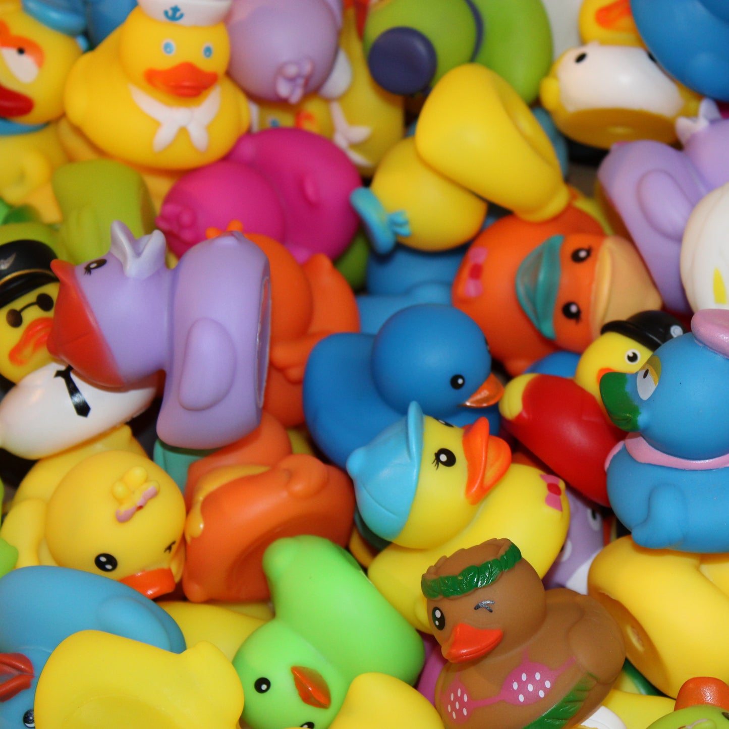 Squeaky Duck Delight Set (50 Pack)