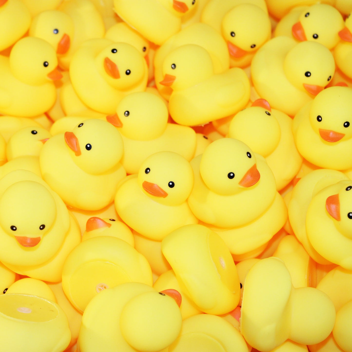 Classic Yellow Rubber Ducks (25 Pack)